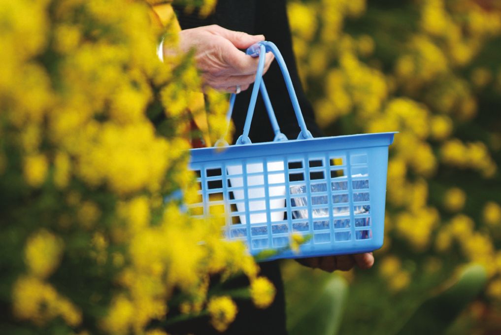 Privacy Policy Eligibility